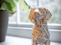 Newspaper dog